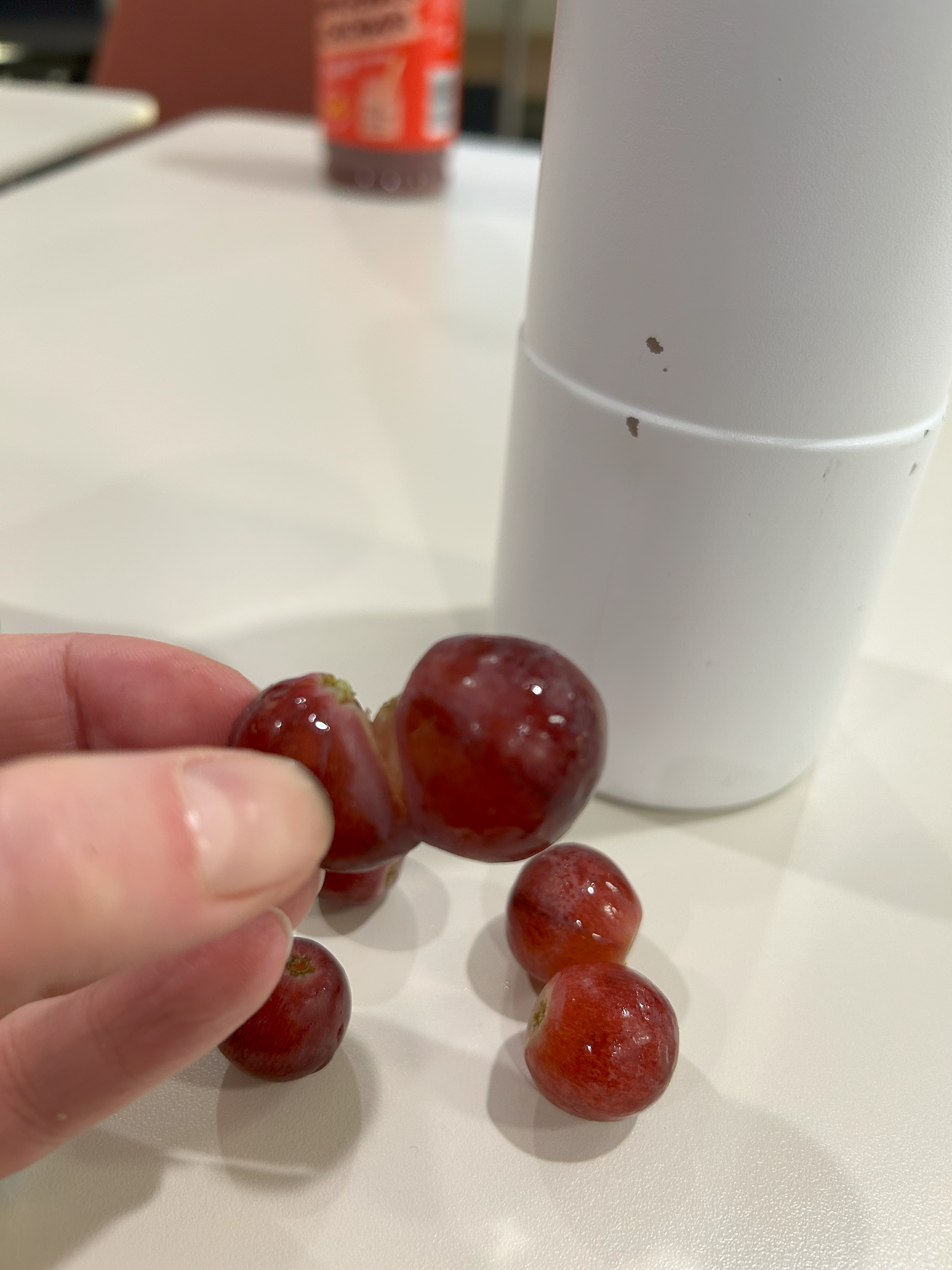 Sjeldne siamesiske druer